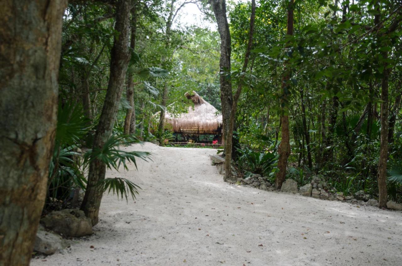 Hotel Rotamundos Mama Loomm Playa del Carmen Exterior foto