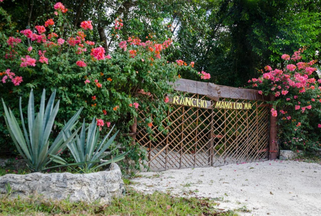 Hotel Rotamundos Mama Loomm Playa del Carmen Exterior foto