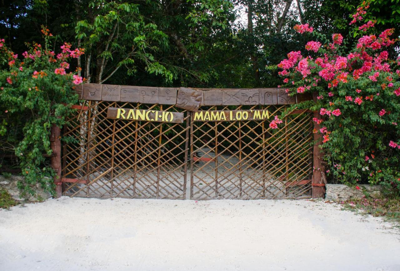 Hotel Rotamundos Mama Loomm Playa del Carmen Exterior foto